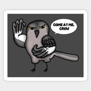 Come at me, Crow (Small Design) Magnet